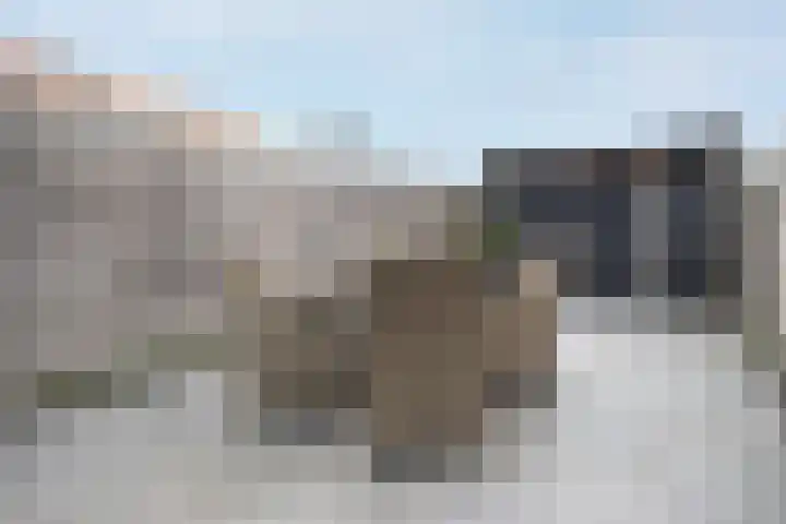 Nes 214 A Wervershoof thumbnail 28