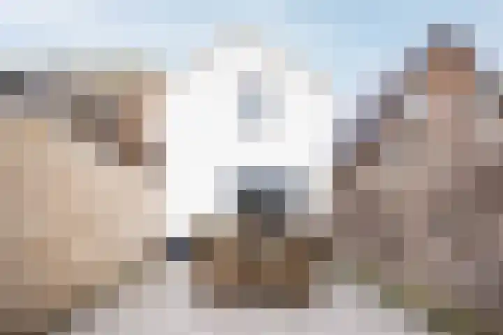 Nes 214 A Wervershoof thumbnail 30