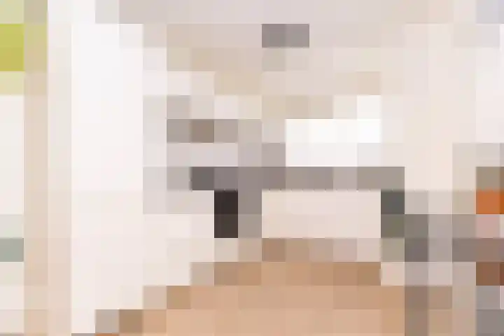 Nes 214 A Wervershoof thumbnail 4