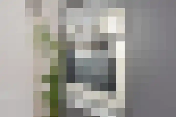 Nes 67 Pijnacker thumbnail 11
