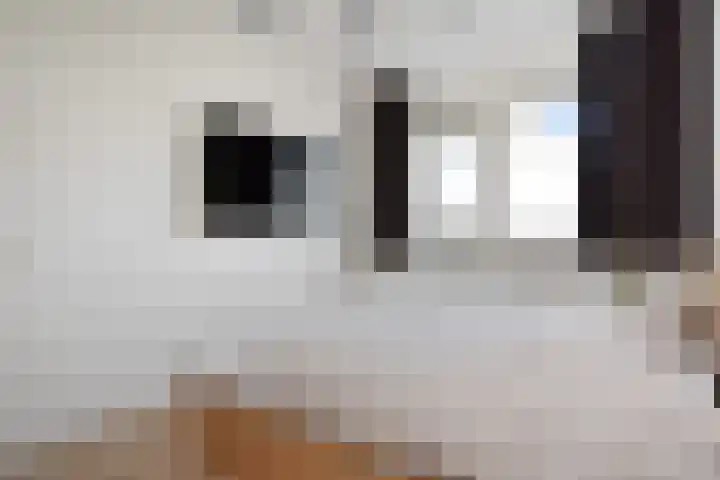 Nes 67 Pijnacker thumbnail 13