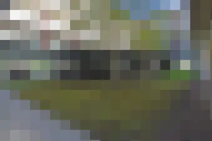Nes 67 Pijnacker thumbnail 22