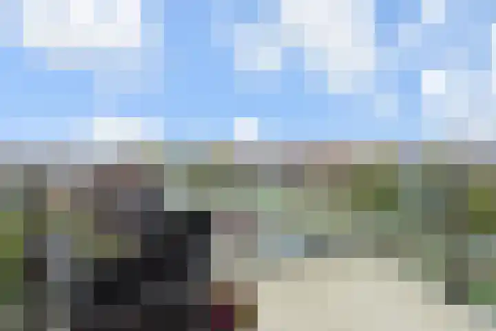 Nes 67 Pijnacker thumbnail 4