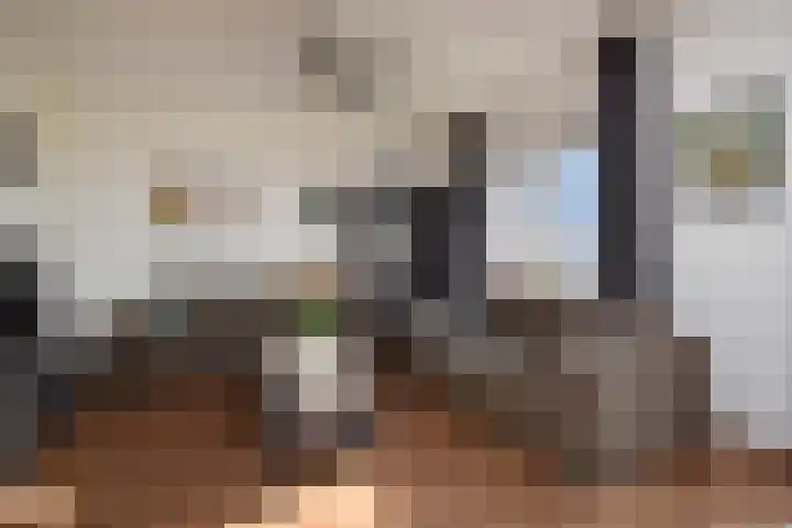 Nes 67 Pijnacker thumbnail 6