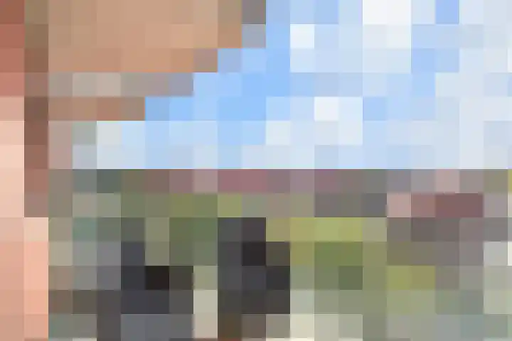 Nes 67 Pijnacker thumbnail 8