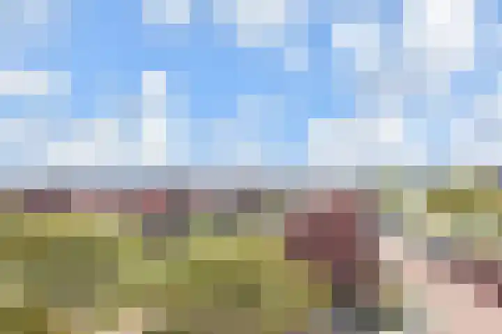 Nes 67 Pijnacker thumbnail 9