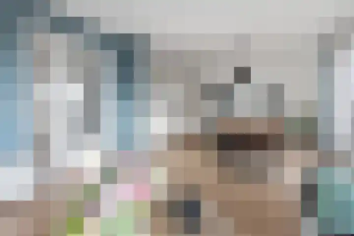 Nes 68 Pijnacker foto 2