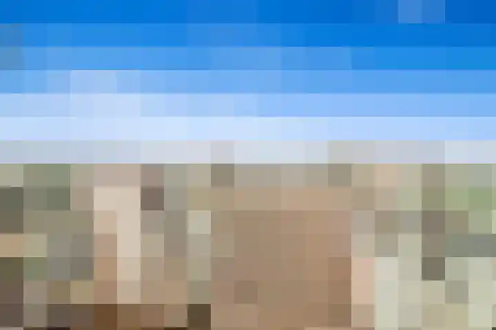 Nes 68 Pijnacker thumbnail 21