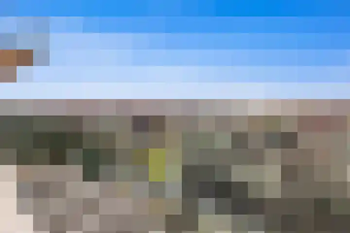 Nes 68 Pijnacker thumbnail 22