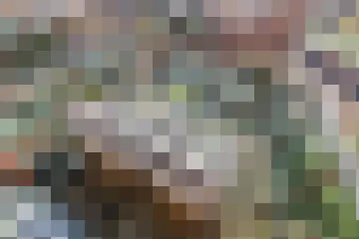 Nes 68 Pijnacker thumbnail 24
