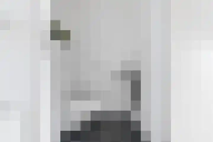 Nes 68 Pijnacker thumbnail 28