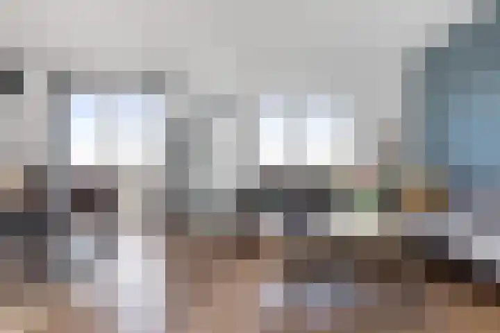 Nes 68 Pijnacker foto 3