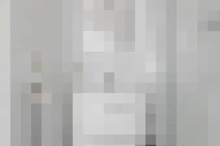 Nes 68 Pijnacker thumbnail 30