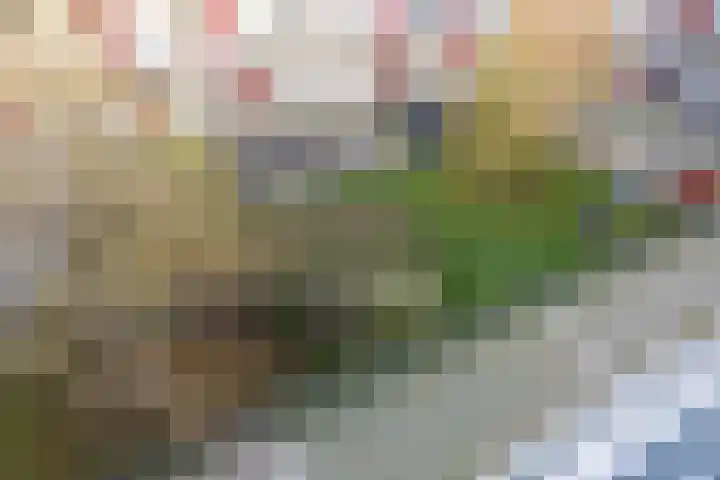 Nes 68 Pijnacker thumbnail 39