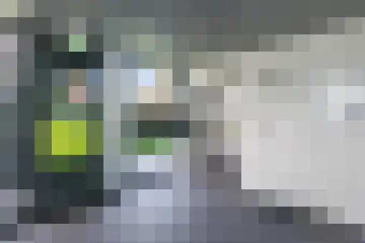 Nes 68 Pijnacker thumbnail 41