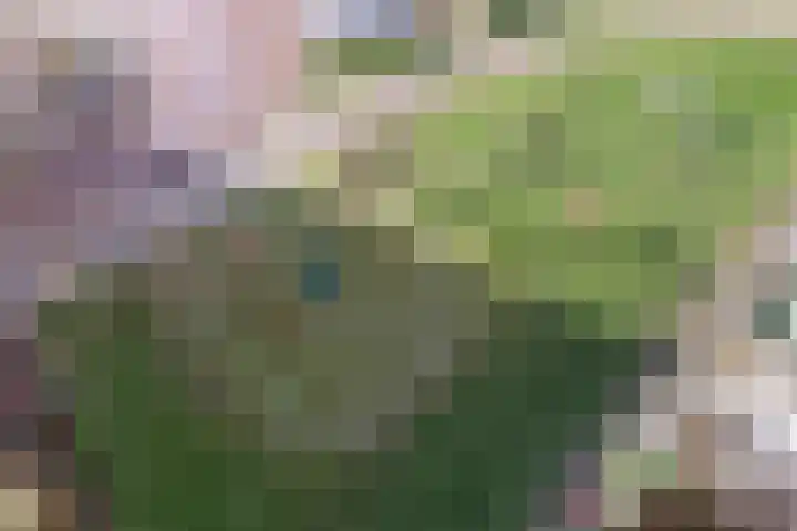 Nes 68 Pijnacker thumbnail 43