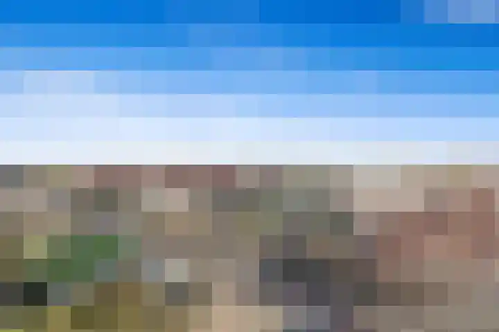 Nes 68 Pijnacker thumbnail 46