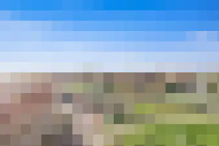 Nes 68 Pijnacker thumbnail 48