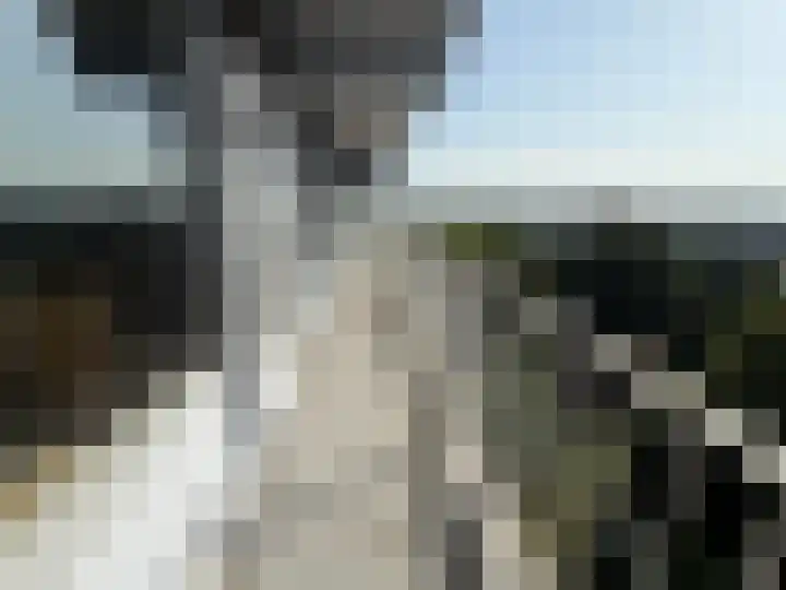 Nes 68 Pijnacker thumbnail 6