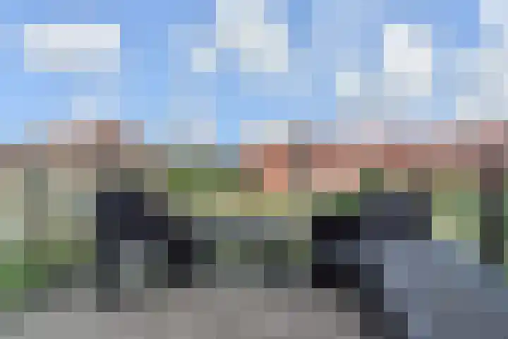 Nes 80 Pijnacker thumbnail 15