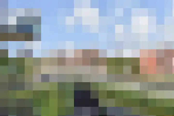Nes 80 Pijnacker thumbnail 16