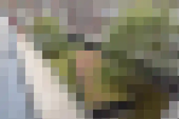 Nes 80 Pijnacker thumbnail 17