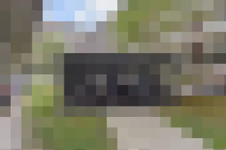 Nes 80 Pijnacker thumbnail 18