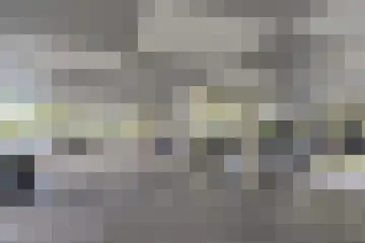 Nes 80 Pijnacker thumbnail 20