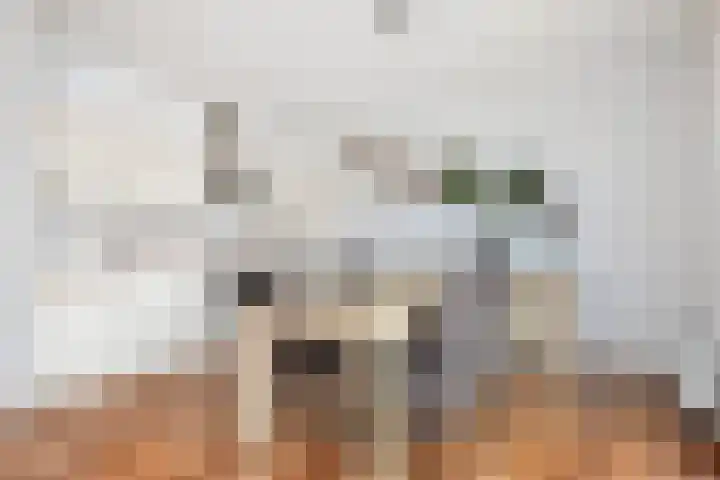 Nes 80 Pijnacker foto 3