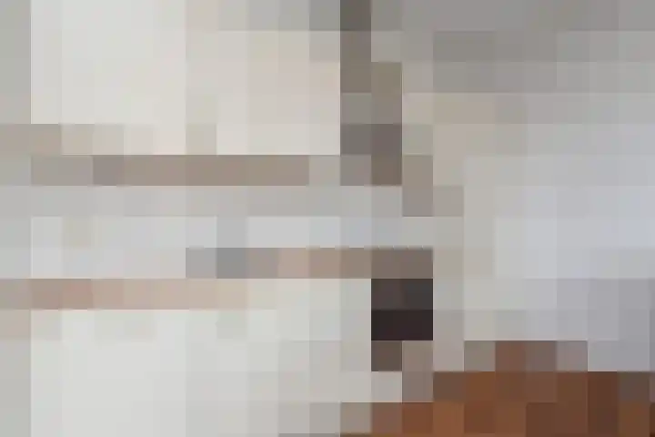 Nes 80 Pijnacker thumbnail 8