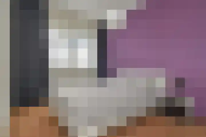 Nes 80 Pijnacker thumbnail 9