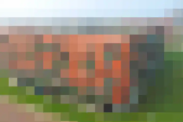 Nes 94 Pijnacker thumbnail 30