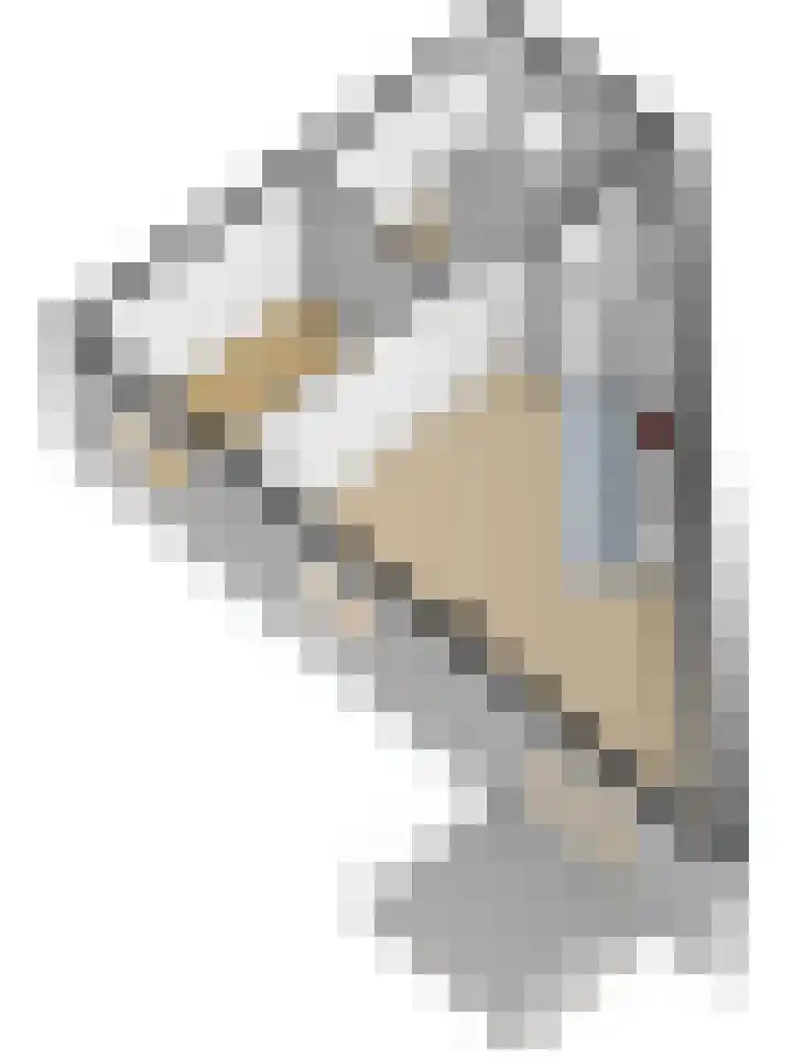 Nes 94 Pijnacker thumbnail 33