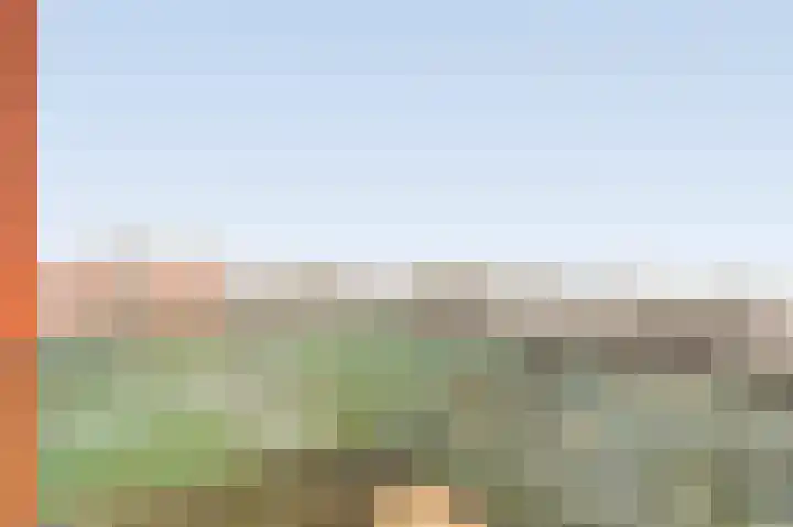 Nes 94 Pijnacker thumbnail 5