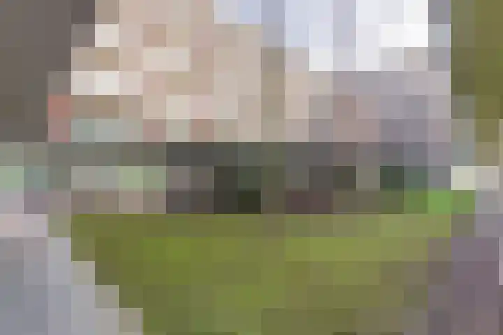 Nes 94 Pijnacker thumbnail 8