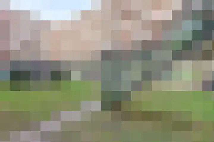 Nes 94 Pijnacker thumbnail 9