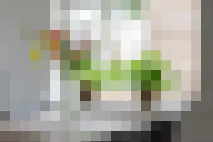 Nessenwei 7 Oosthem foto 2