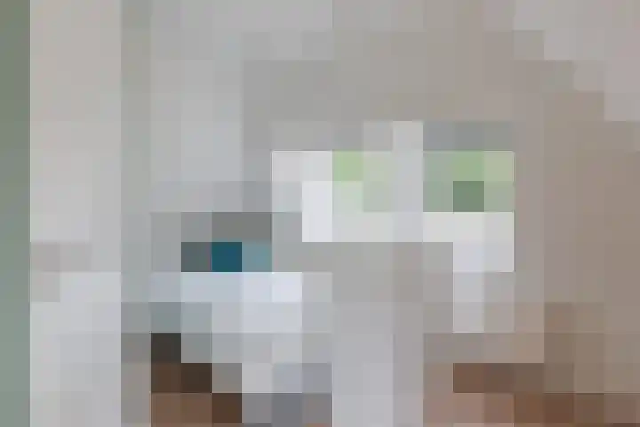 Nessenwei 7 Oosthem thumbnail 21