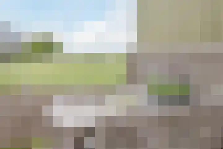 Nessenwei 7 Oosthem foto 3
