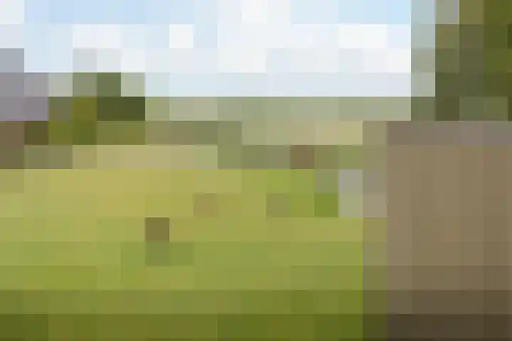 Nessenwei 7 Oosthem thumbnail 37