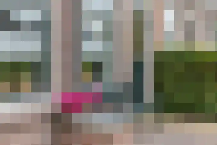 Nessenwei 7 Oosthem thumbnail 5