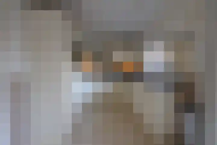 Nessenwei 9 Oosthem thumbnail 13