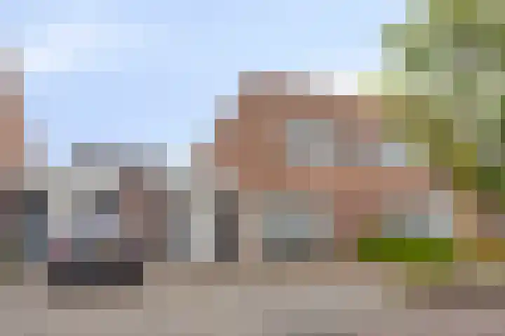 Nestelaar 10 Boxtel