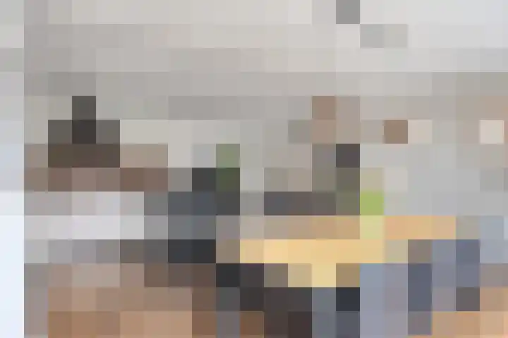 Nestheuvel 8 Best thumbnail 12