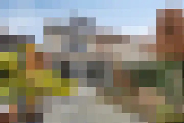 Nestheuvel 8 Best foto 2