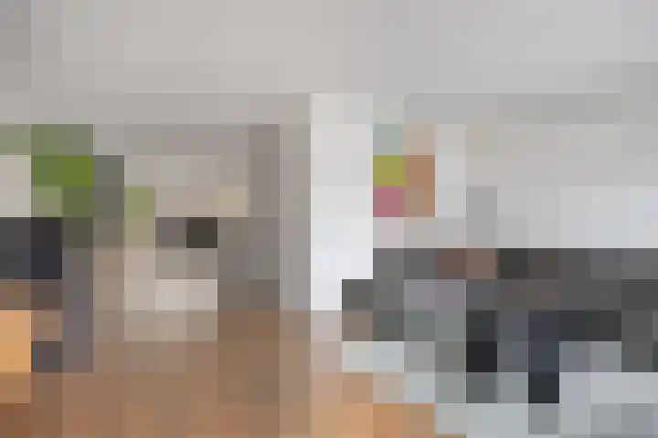 Nestheuvel 8 Best thumbnail 7