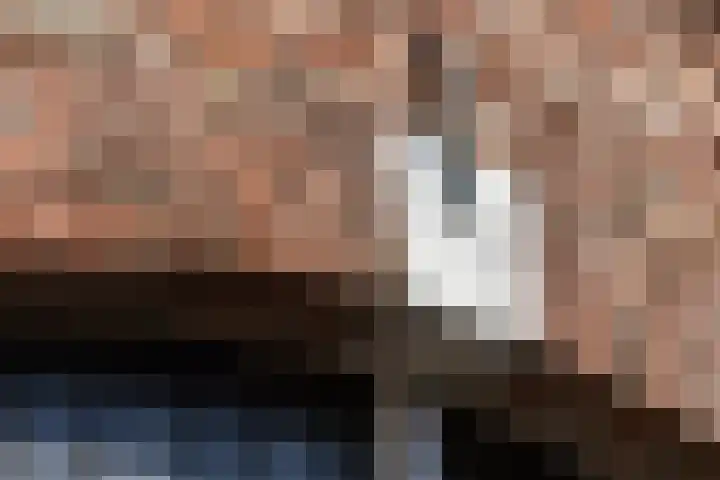 Team foto van NET Makelaars Haarlem