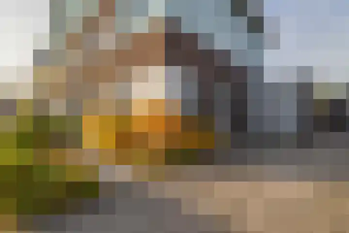 Nettelhorst 1 Ede thumbnail 24