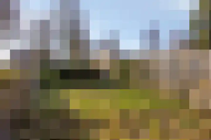 Nettelhorst 1 Ede thumbnail 31