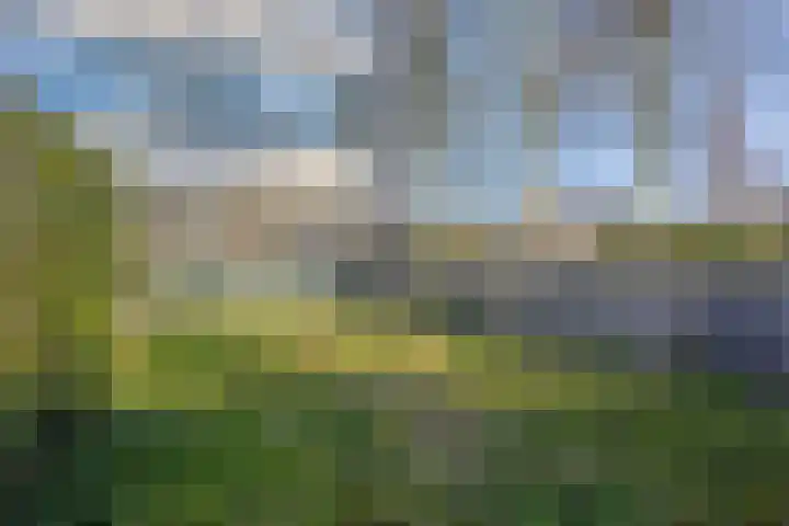 Nettelhorst 1 Ede thumbnail 32